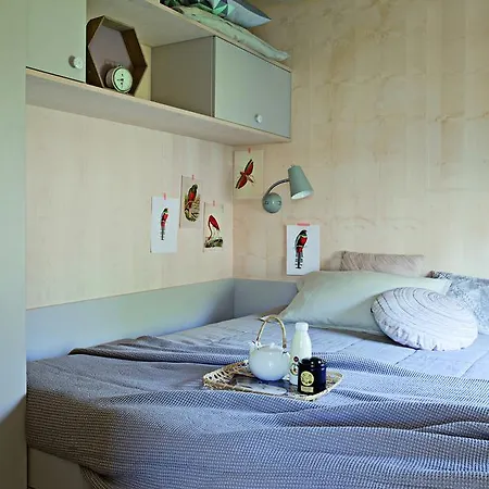 Big Berry Luxury Lifestyle Tatil parkı