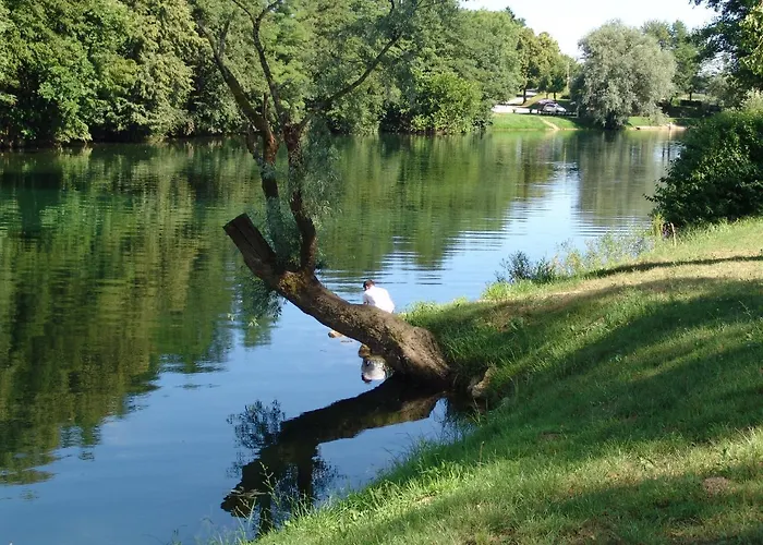 Big Berry Luxury Lifestyle *